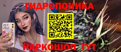 гидра Гусиноозёрск
