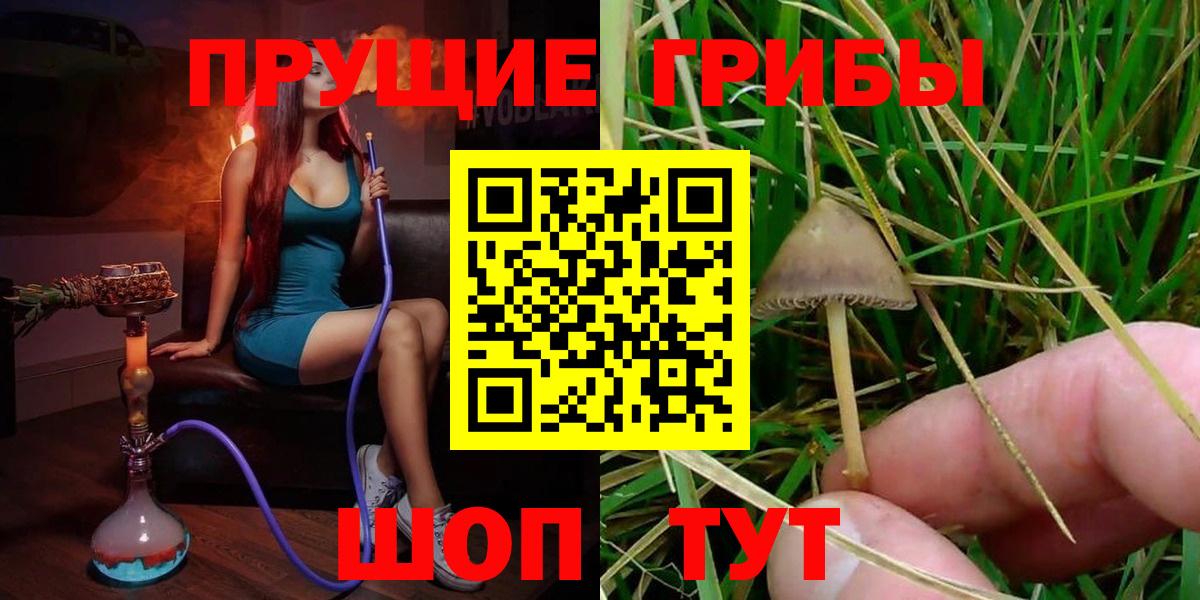 закладки  Вход с VPN  Нурлат  Псилоцибиновые грибы мухоморы 